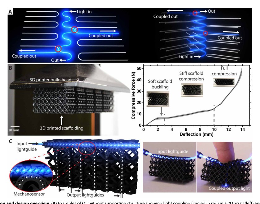 Optical lace for synthetic afferent neural networks Figure 1