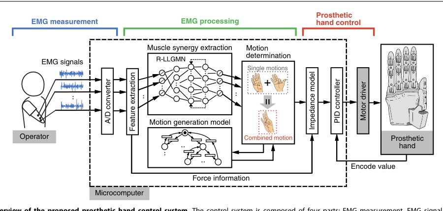 A myoelectric prosthetic hand with muscle synergy–based motion determination and impedance model–based biomimetic control Figure 1