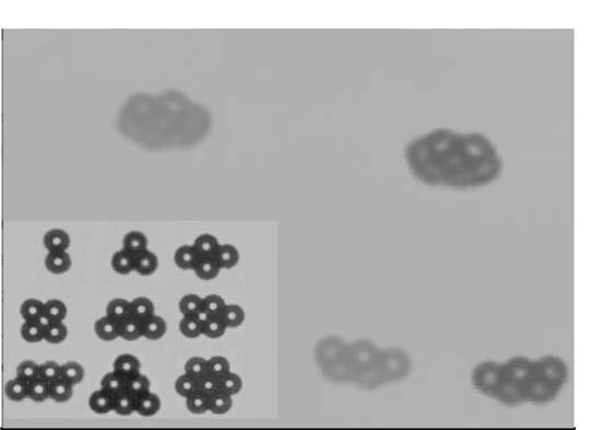 Microwheels on microroads: Enhanced translation on topographic surfaces Figure 1
