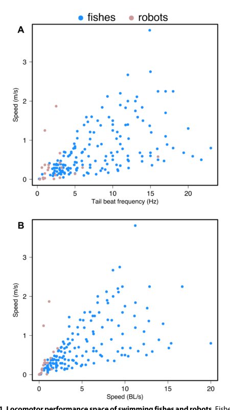 Tuna robotics: A high-frequency experimental platform exploring the performance space of swimming fishes Figure 1