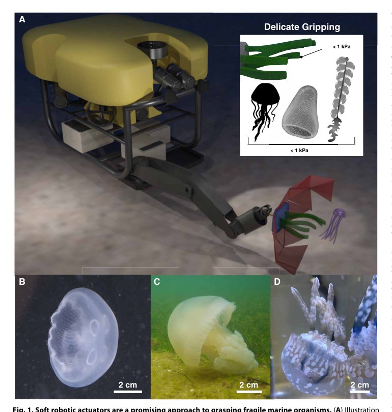 Ultragentle manipulation of delicate structures using a soft robotic gripper Figure 1