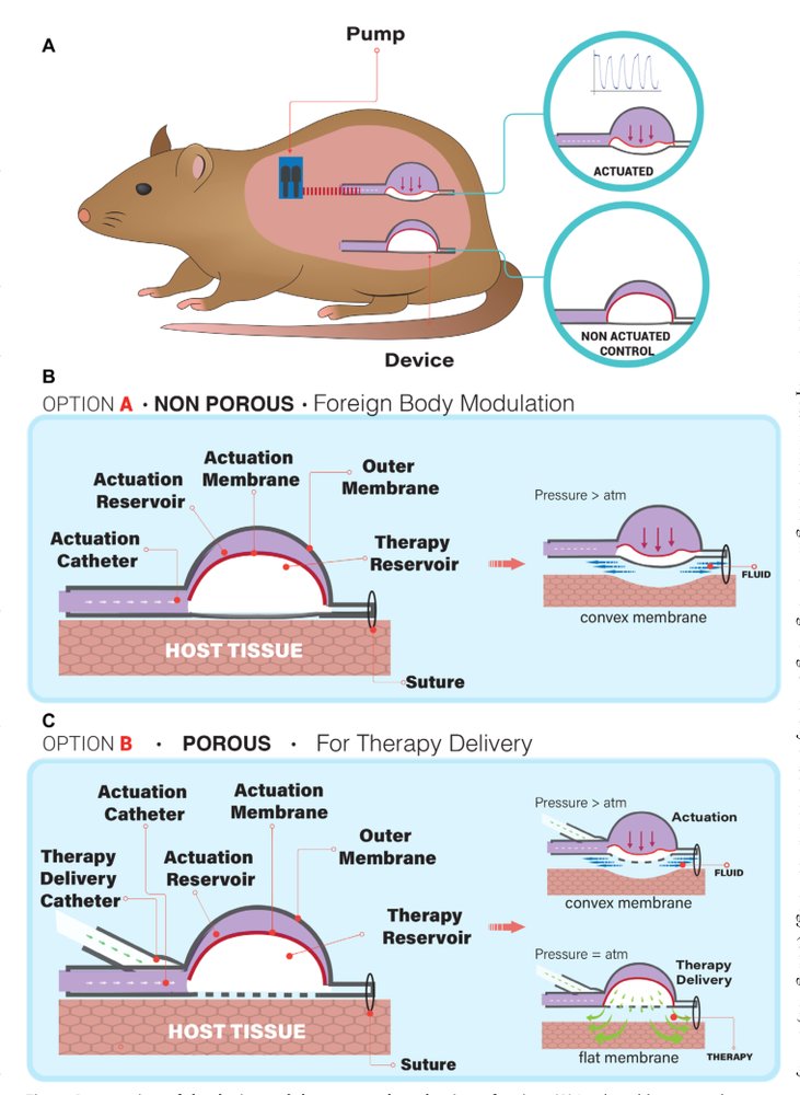 An actuatable soft reservoir modulates host foreign body response Figure 1