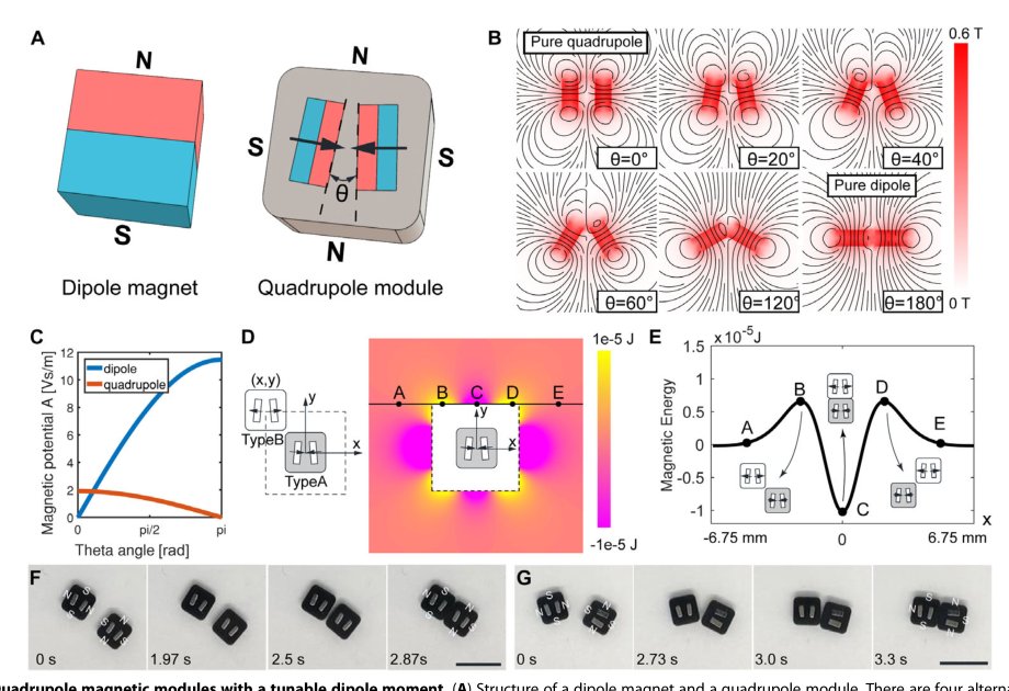 Magnetic quadrupole assemblies with arbitrary shapes and magnetizations Figure 1