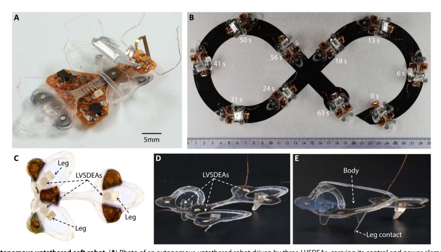 An autonomous untethered fast soft robotic insect driven by low-voltage dielectric elastomer actuators Figure 1