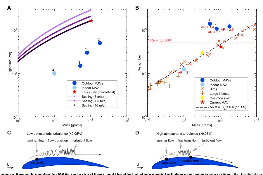 A bioinspired Separated Flow wing provides turbulence resilience and aerodynamic efficiency for miniature drones Figure 1