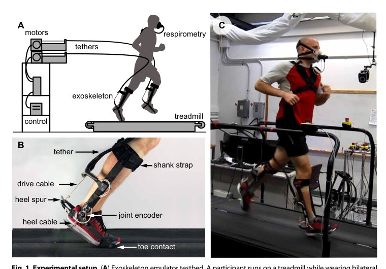 Improving the energy economy of human running with powered and unpowered ankle exoskeleton assistance Figure 1