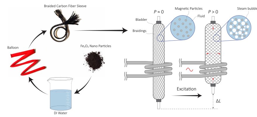Actuation of untethered pneumatic artificial muscles and soft robots using magnetically induced liquid-to-gas phase transitions Figure 1