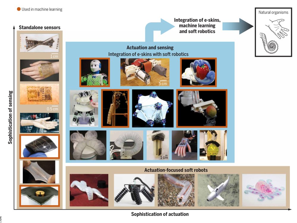 Electronic skins and machine learning for intelligent soft robots Figure 1