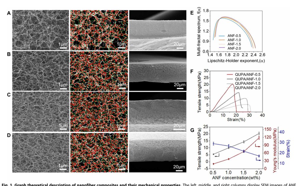 Biomorphic structural batteries for robotics Figure 1