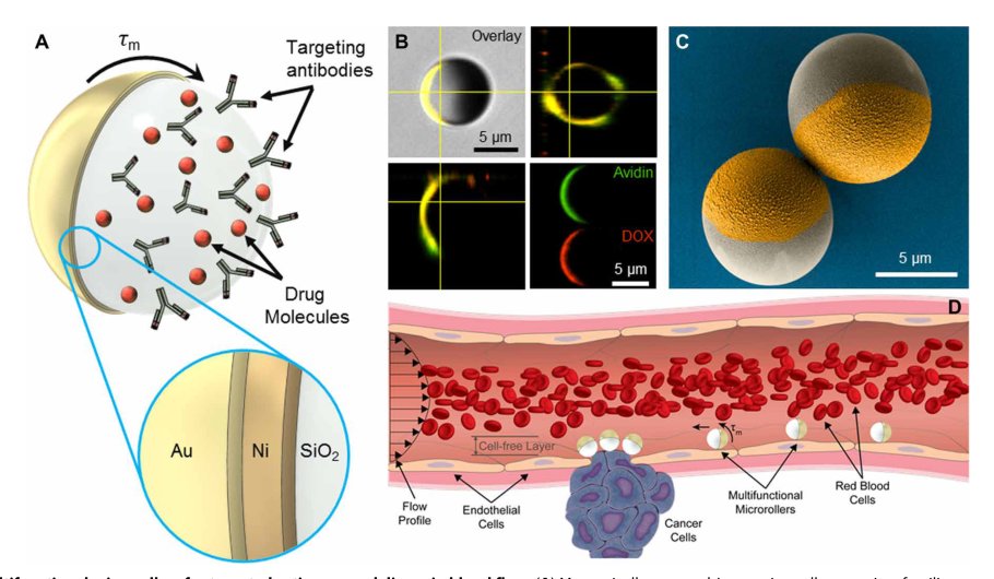 Multifunctional surface microrollers for targeted cargo delivery in physiological blood flow Figure 1