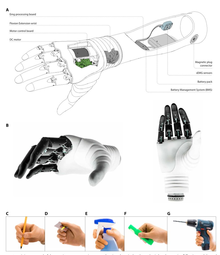 The Hannes hand prosthesis replicates the key biological properties of the human hand Figure 1