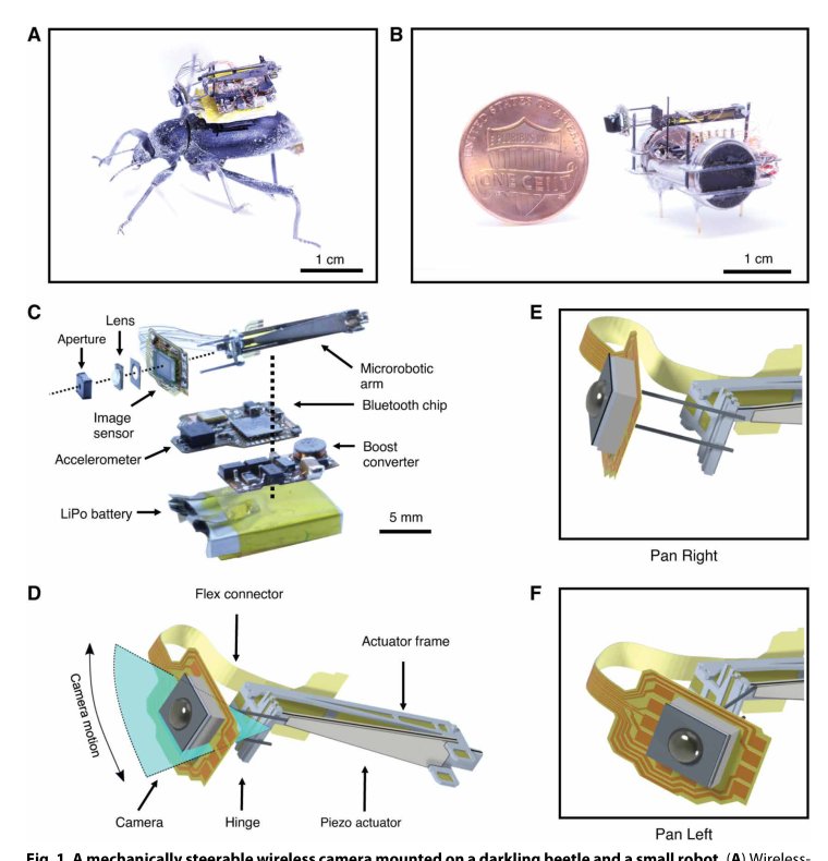 Wireless steerable vision for live insects and insect-scale robots Figure 1