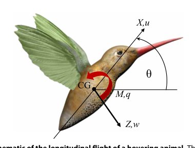 Vibrational control: A hidden stabilization mechanism in insect flight Figure 1