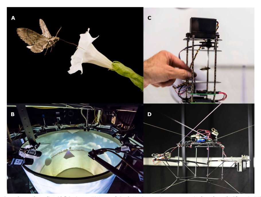 Automatic tracking of free-flying insects using a cable-driven robot Figure 1