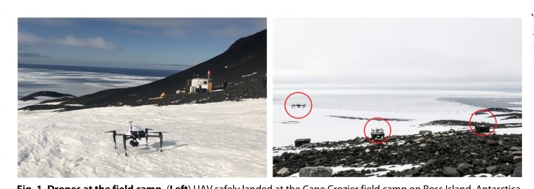 Multidrone aerial surveys of penguin colonies in Antarctica Figure 1