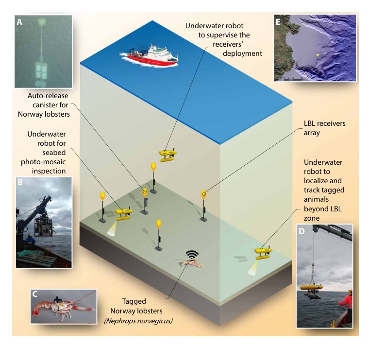 Mobile robotic platforms for the acoustic tracking of deep-sea demersal fishery resources Figure 1