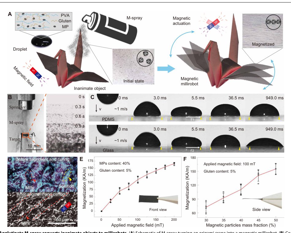 An agglutinate magnetic spray transforms inanimate objects into millirobots for biomedical applications Figure 1