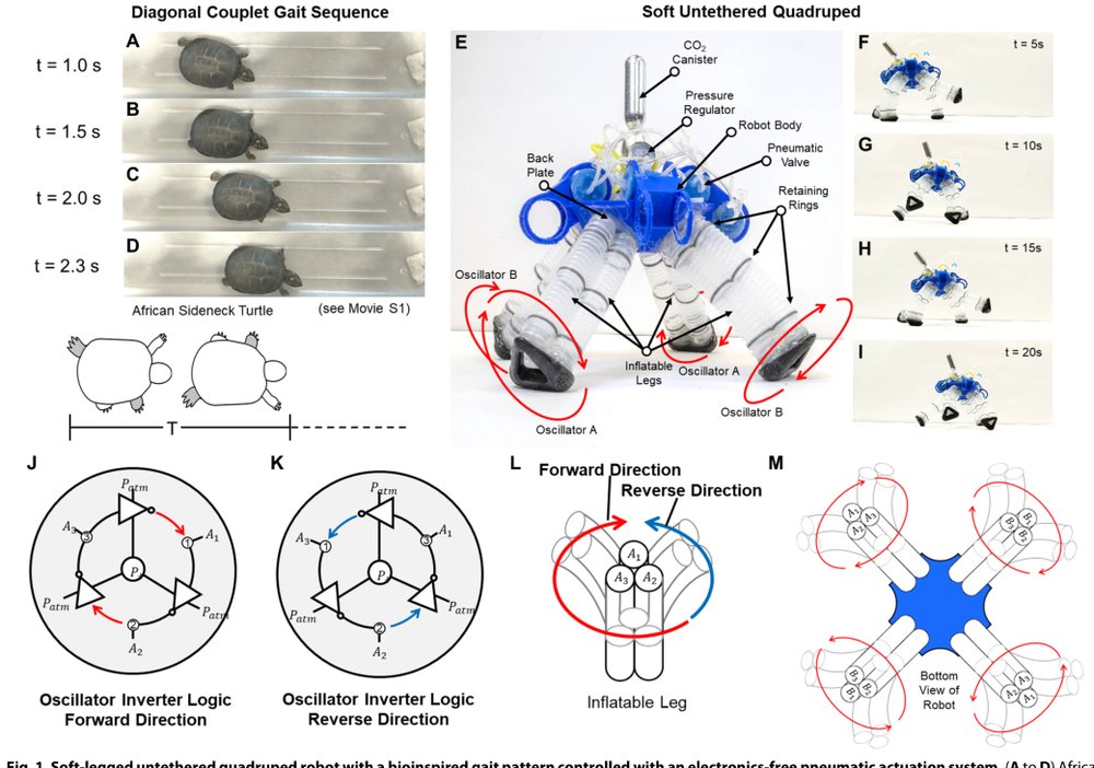 Electronics-free pneumatic circuits for controlling soft-legged robots Figure 1
