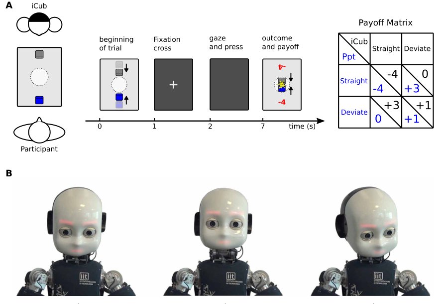 Mutual gaze with a robot affects human neural activity and delays decision-making processes Figure 1