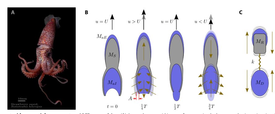 A resonant squid-inspired robot unlocks biological propulsive efficiency Figure 1