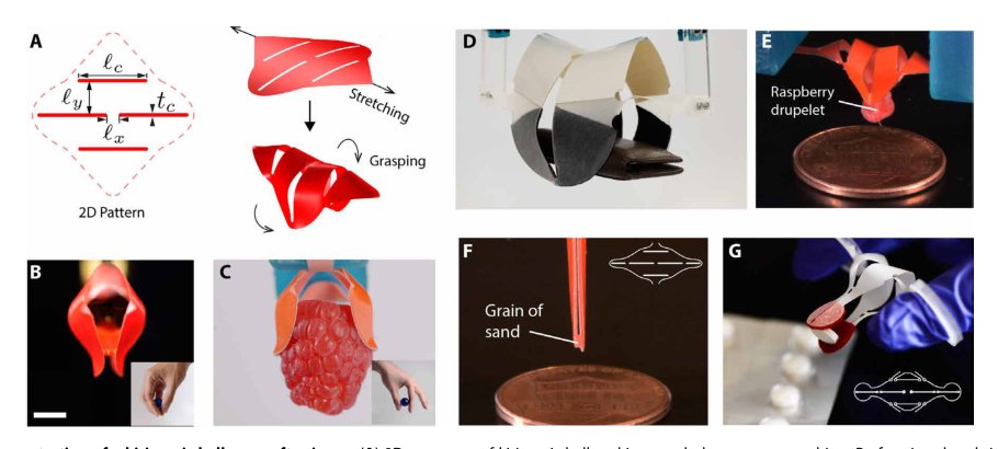 Grasping with kirigami shells Figure 1