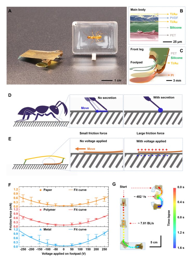Electrostatic footpads enable agile insect-scale soft robots with trajectory control Figure 1