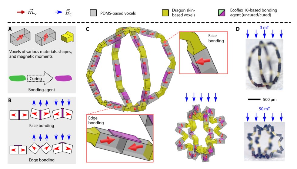 Voxelated three-dimensional miniature magnetic soft machines via multimaterial heterogeneous assembly Figure 1