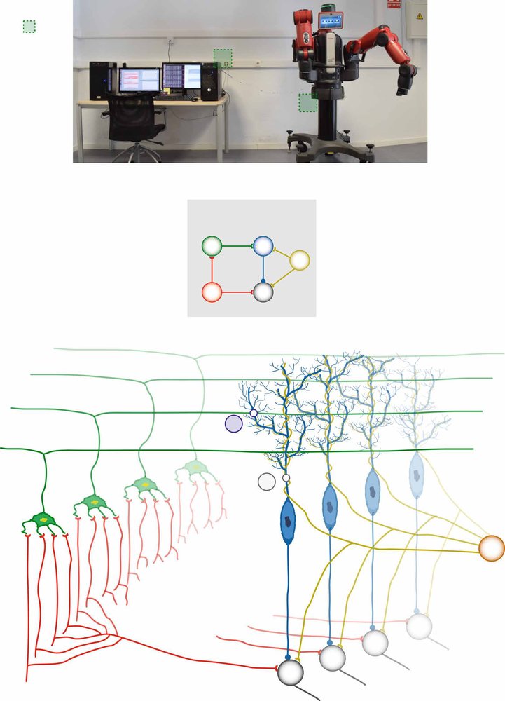 A cerebellar-based solution to the nondeterministic time delay problem in robotic control Figure 1