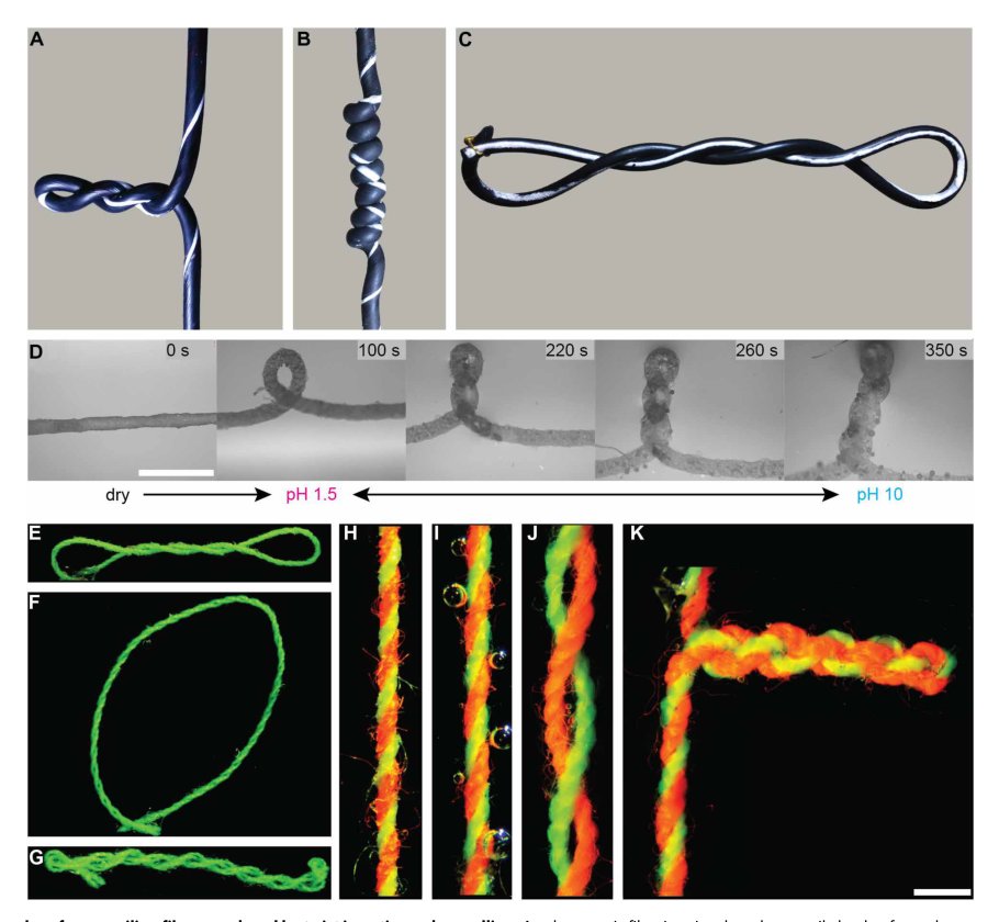 Dual high-stroke and high–work capacity artificial muscles inspired by DNA supercoiling Figure 1