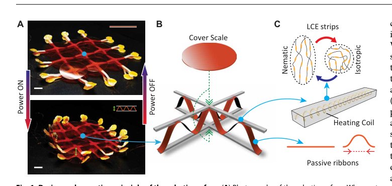 Robotic surfaces with reversible, spatiotemporal control for shape morphing and object manipulation Figure 1
