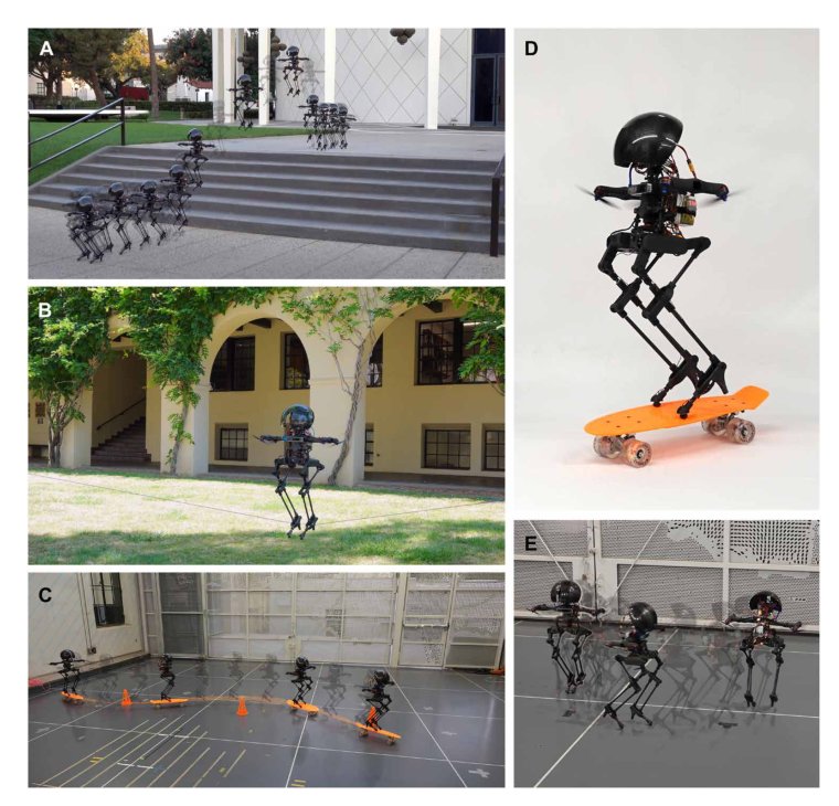 A bipedal walking robot that can fly, slackline, and skateboard Figure 1