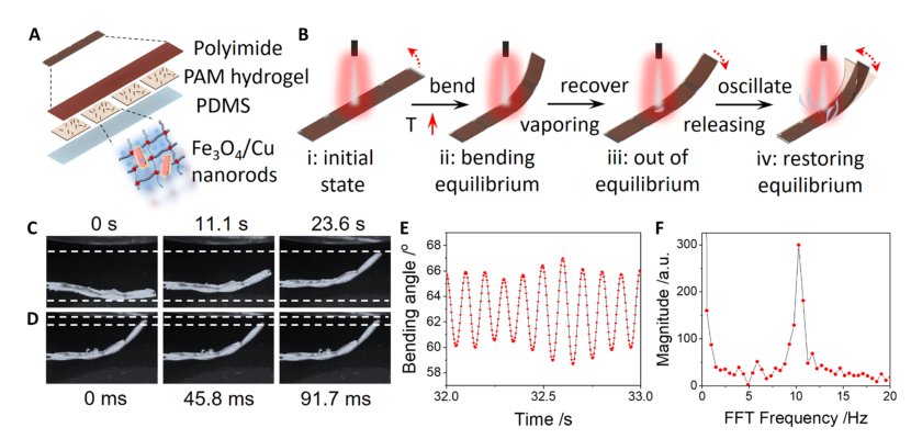 Light-powered soft steam engines for self-adaptive oscillation and biomimetic swimming Figure 1