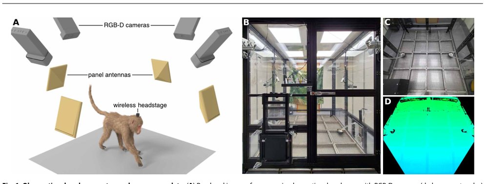 A markerless platform for ambulatory systems neuroscience Figure 1