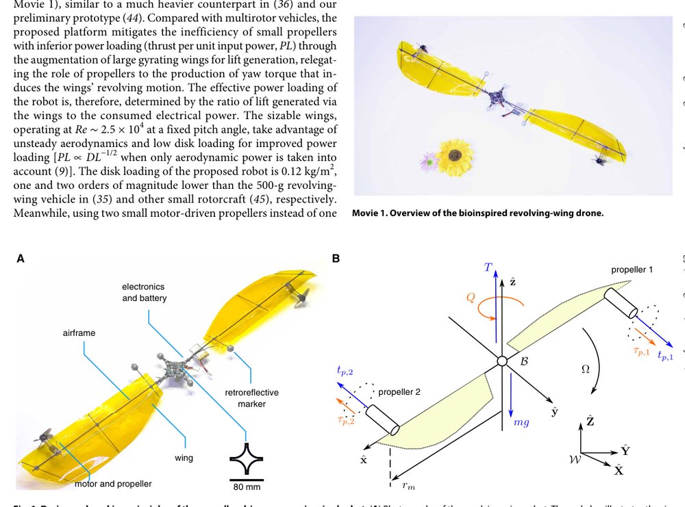 A bioinspired revolving-wing drone with passive attitude stability and efficient hovering flight Figure 1