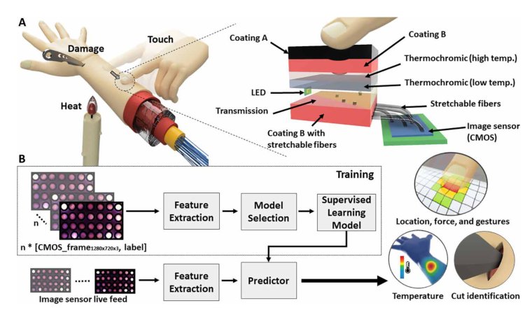 Haptic perception using optoelectronic robotic flesh for embodied artificially intelligent agents Figure 1