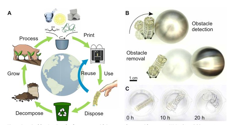3D printing of resilient biogels for omnidirectional and exteroceptive soft actuators Figure 1
