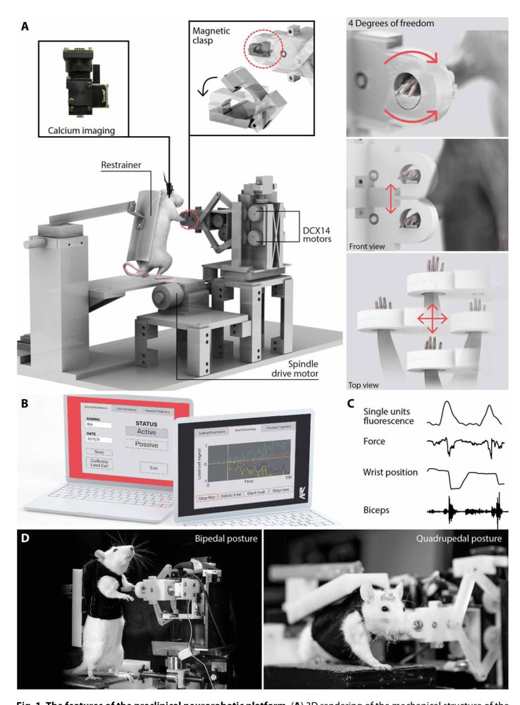 Preclinical upper limb neurorobotic platform to assess, rehabilitate, and develop therapies Figure 1