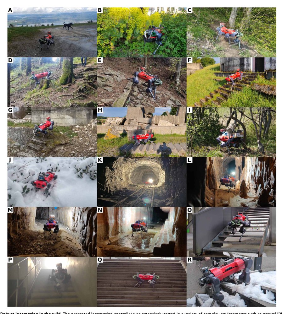 Learning robust perceptive locomotion for quadrupedal robots in the wild Figure 1