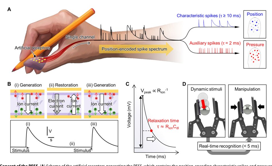 Dynamic tactility by position-encoded spike spectrum Figure 1
