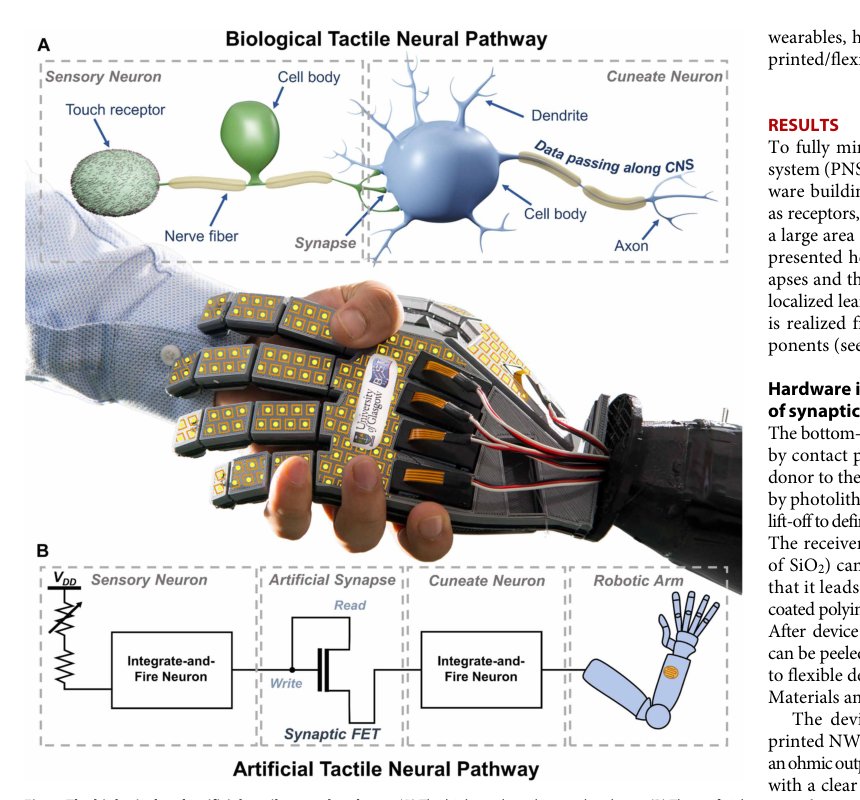 Printed synaptic transistor–based electronic skin for robots to feel and learn Figure 1
