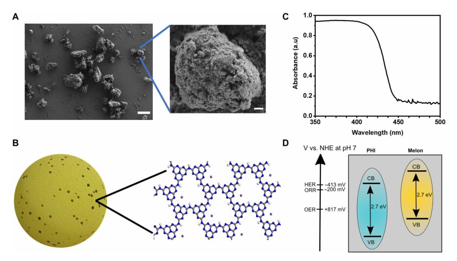 Light-driven carbon nitride microswimmers with propulsion in biological and ionic media and responsive on-demand drug delivery Figure 1