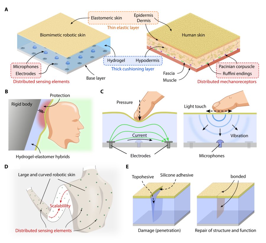 A biomimetic elastomeric robot skin using electrical impedance and acoustic tomography for tactile sensing Figure 1
