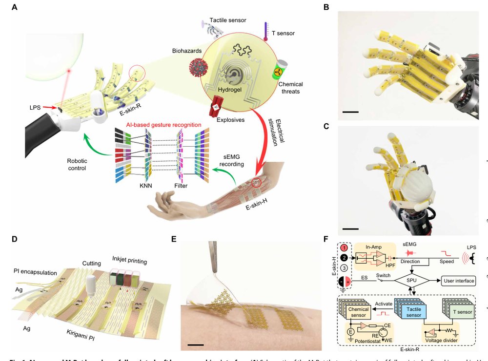 All-printed soft human-machine interface for robotic physicochemical sensing Figure 1