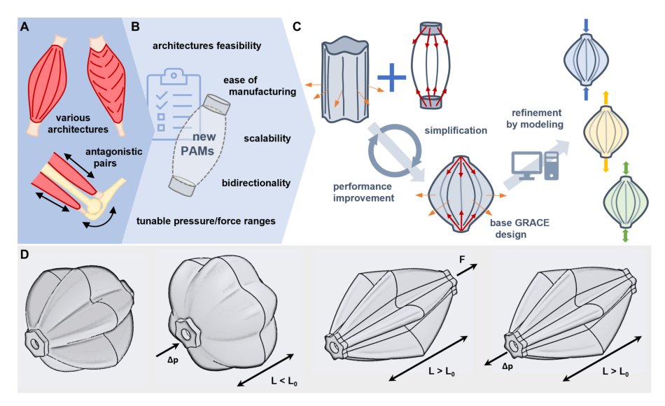 3D-printed biomimetic artificial muscles using soft actuators that contract and elongate Figure 1