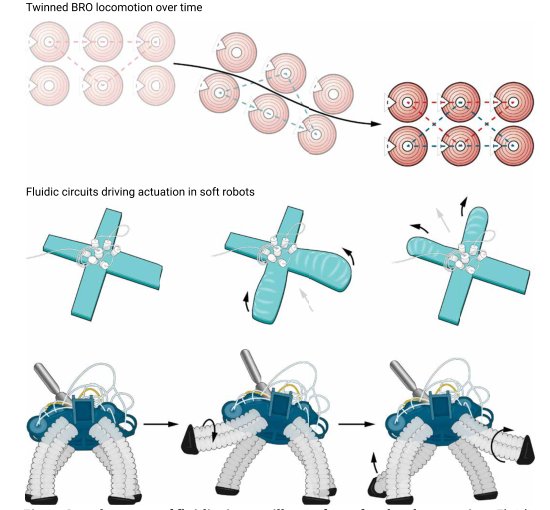 Electronics-free soft robot has a nice ring to it Figure 1
