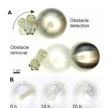 Harnessing the circular economy to develop sustainable soft robots Figure 1
