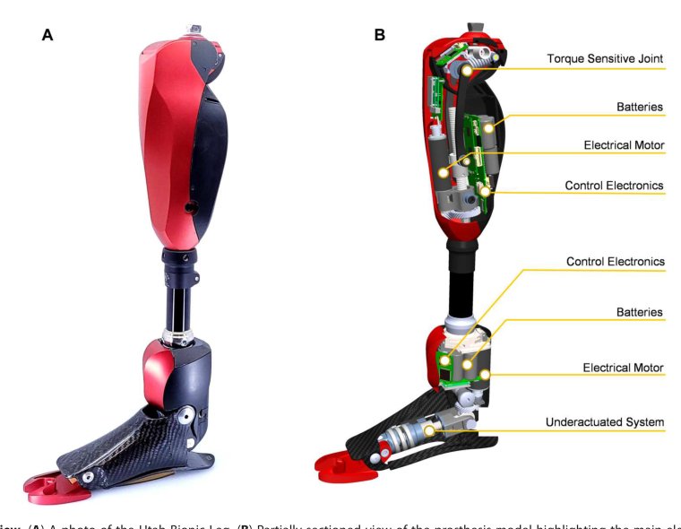 A lightweight robotic leg prosthesis replicating the biomechanics of the knee, ankle, and toe joint Figure 1