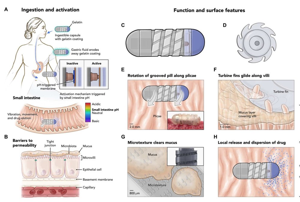 RoboCap: Robotic mucus-clearing capsule for enhanced drug delivery in the gastrointestinal tract Figure 1