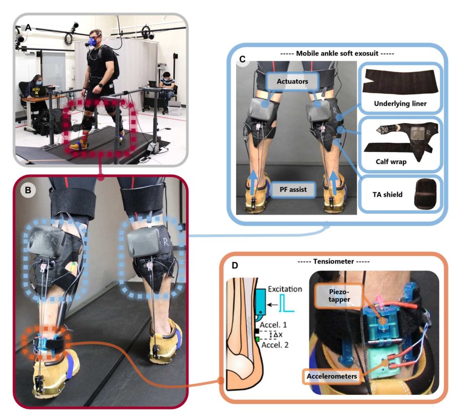 Modulation of Achilles tendon force with load carriage and exosuit assistance Figure 1