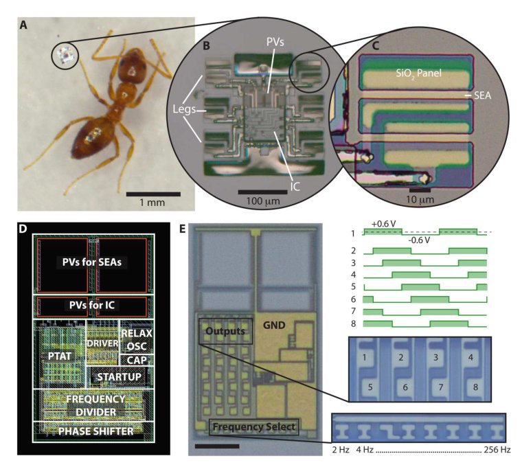 Microscopic robots with onboard digital control Figure 1